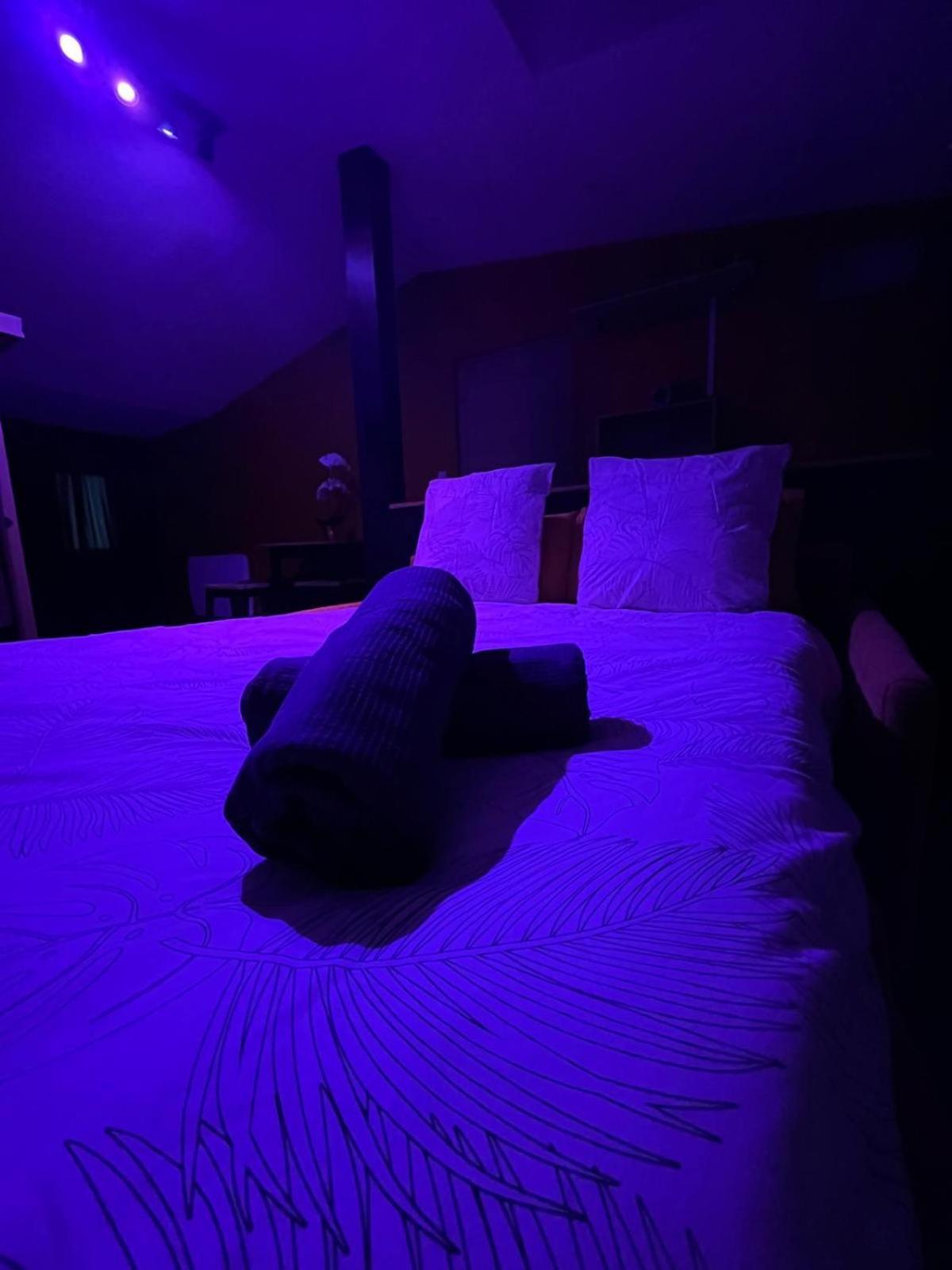 Suite Avec Sauna 36M² Ниор Екстериор снимка
